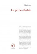 la-pluie-ebahie